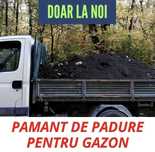 Pamant negru de flori