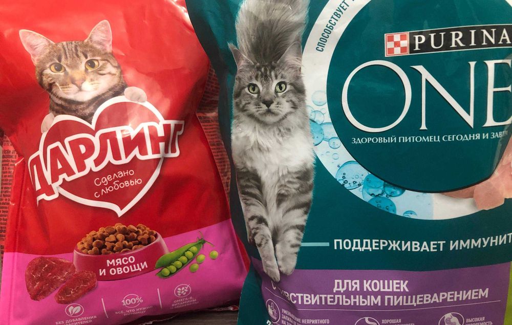 Кошка лайлак поинт / Мысык