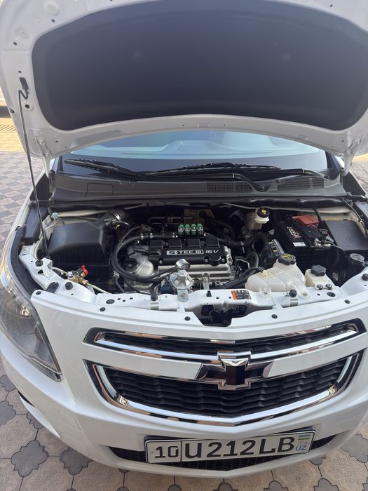 Kobolt sotiladi 2025 yil