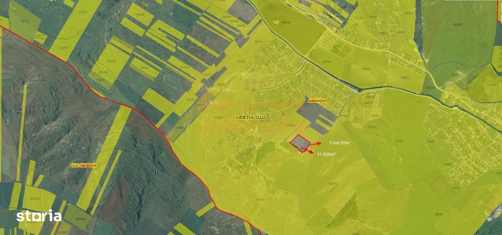 Teren de vanzare 11,600 mp in Campenesti, langa lacul 1