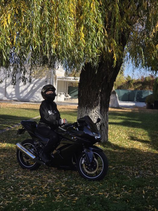 Kawasaki ninja R250 2008