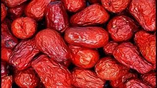 Jiyda жийда джийда чилон жийда Унаби Зизифус