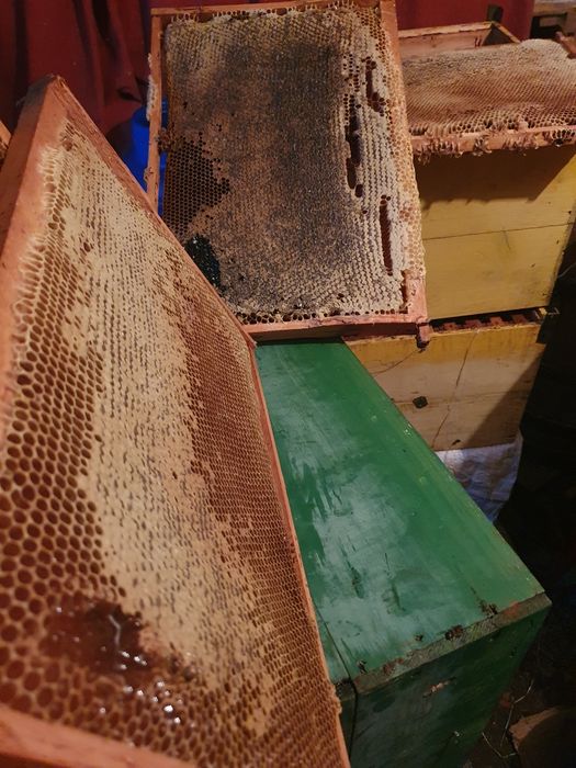 Miere de albine naturala