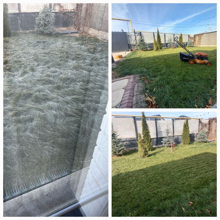 Стрижка газона. Покос травы. Разнотравие.