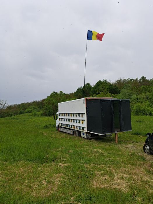 Vand camion apicol, familii albine, roiuri, cutii, stupi