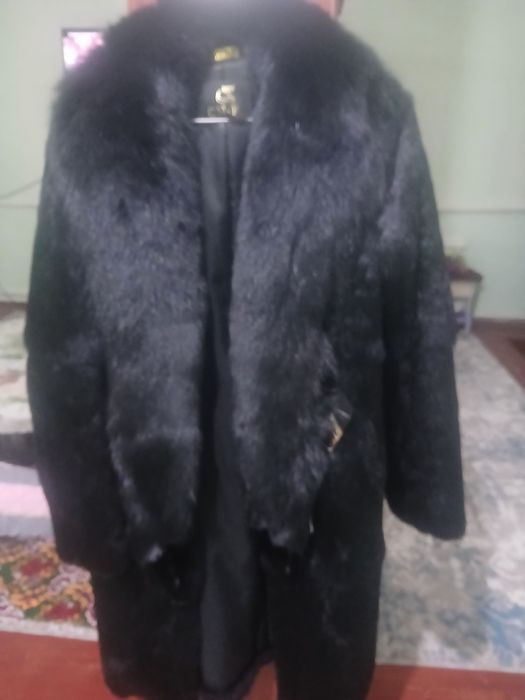 Шубо таза бахаси келсили