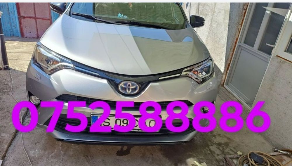 Polish PROFESIONAL cu strat de polimer.