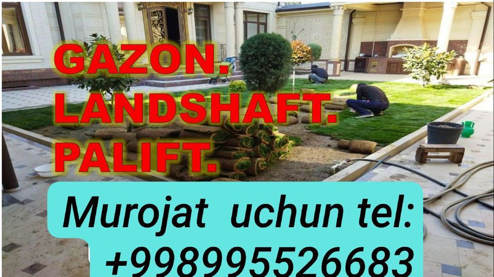 Gazon lanshaft dezayn