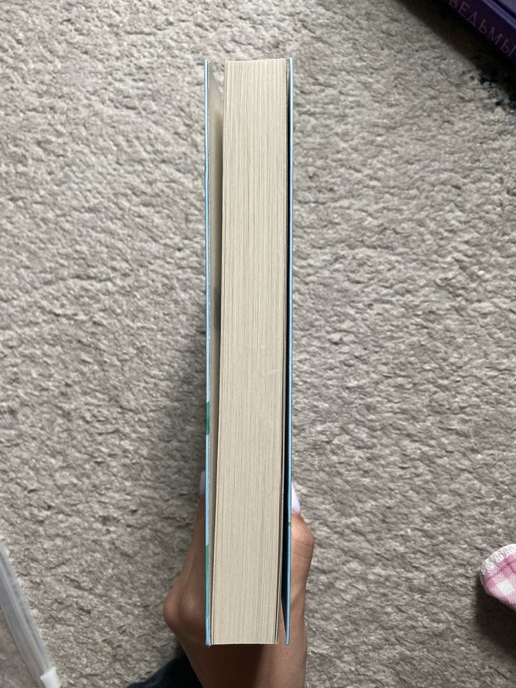 Книга в отличном состоянии
