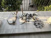 Candelabru / Lustra Coarne de cerb vintage