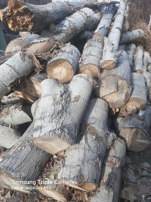 Продам дрова,  сухие,тополь