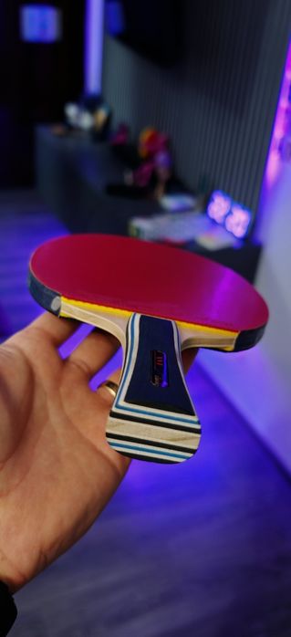 Paleta ping pong (tenis de masa)