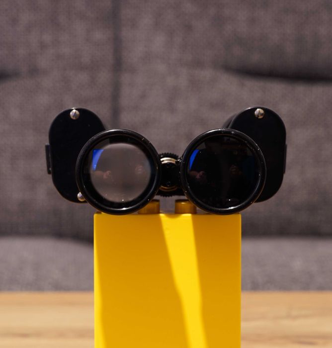 Binoclu Steiner Bayreuth 8x30 - model rar