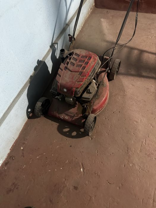 O’t o’rgicha sotiladi