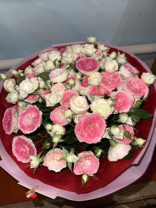 Гүл, керемет әдемі роза