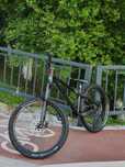 Radon Slush 2023 Custom