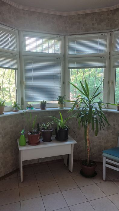 Эльбек Банковская 3/3/4