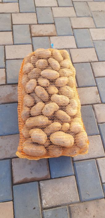 Vând cartofi de consum