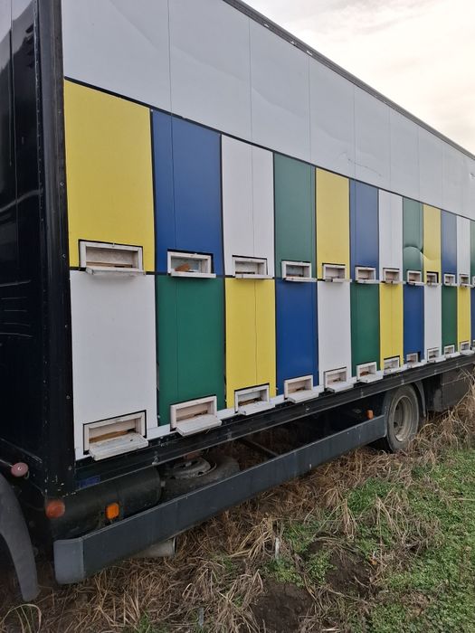 CAMION MAN omologat apicol