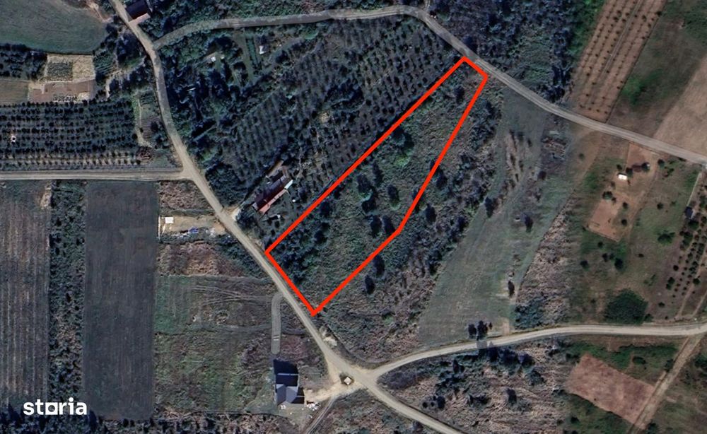 Gaminvest-Teren intravilan 4910 mp, Săldăbagiu de Munte, Bihor V4137