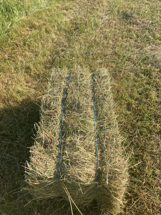 Vând baloți de fân