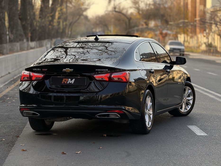 Malibu premier 2022 tinu