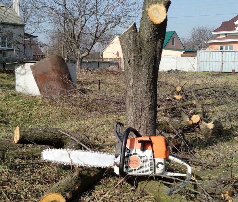 Обрезка деревьев, ағаш кесу.