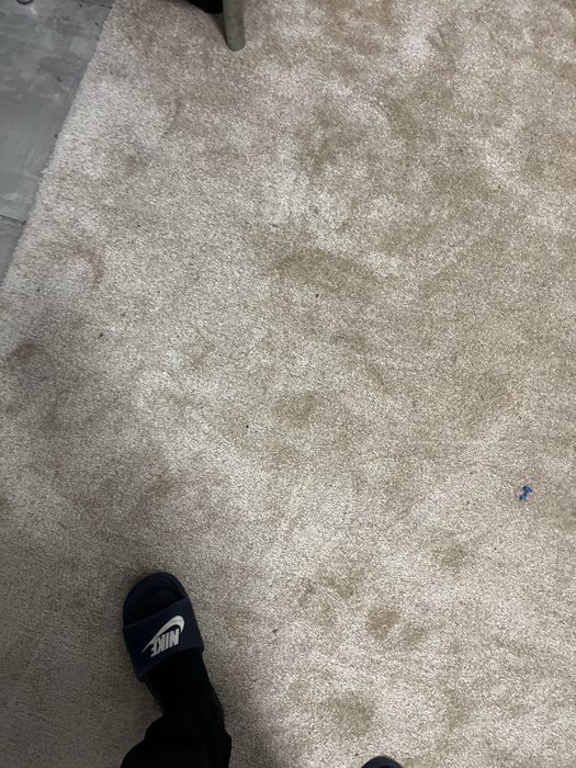 Servicii de curatenie canapele-covoare