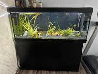 Acvariu 500 l SCHIMB