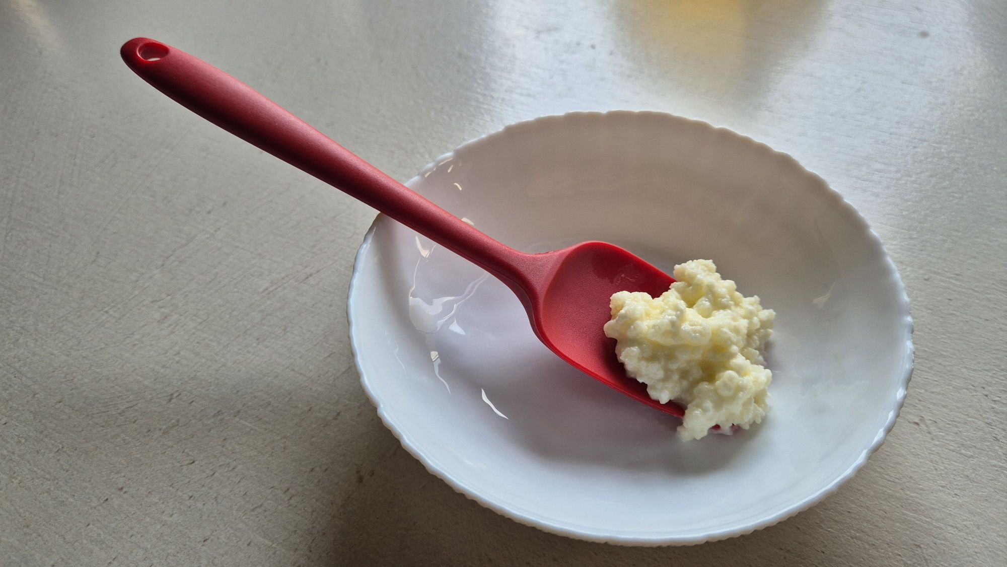 Ciuperca tibetana kefir chefir lapte prins iaurt