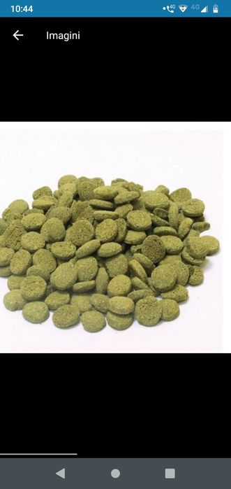 spirulina pastile acvariu pești creveti