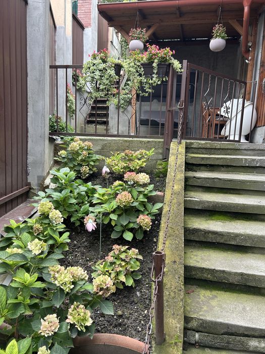 Central - casa pe str. A.Iancu, Tg. Mures - format din 3 apartamente