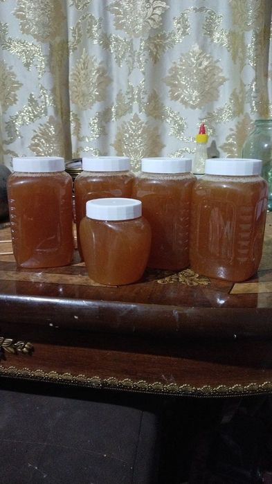 Тоз тог асали гулчанги прополис асалари сути асалари сакчи хамда бор