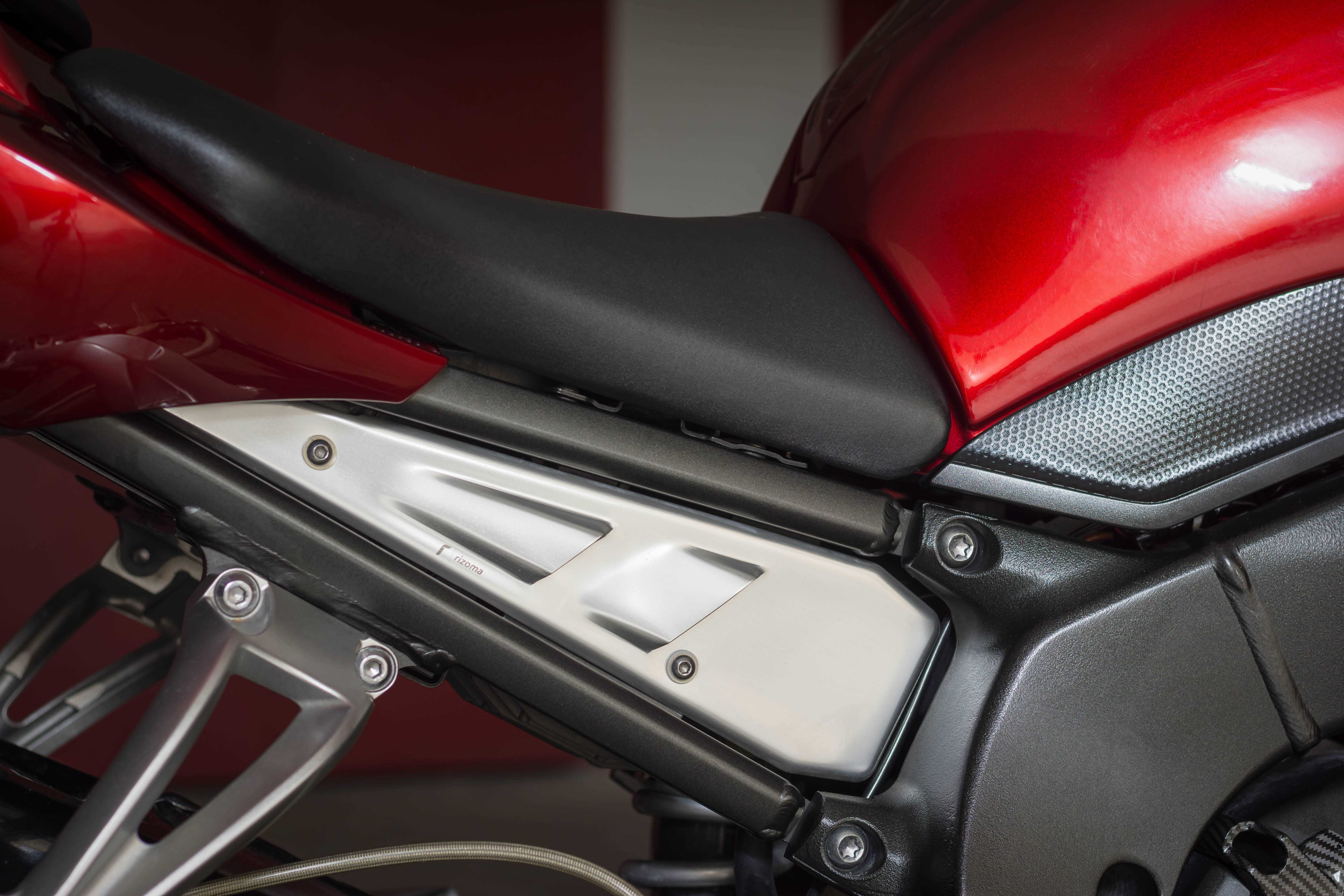 Yamaha FZ 1 Naked