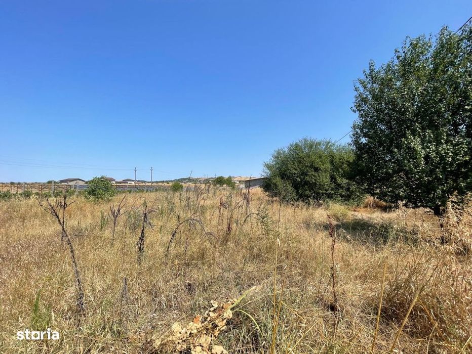 Teren intravilan 1174mp in Dudovicesti cu deschiderea de 41m POT 35% C