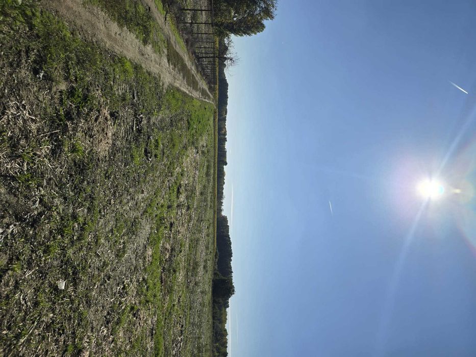 Teren intravilan București-Ploiești