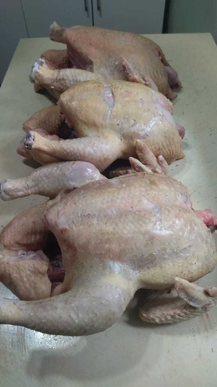 Мясо бройлеров домашних