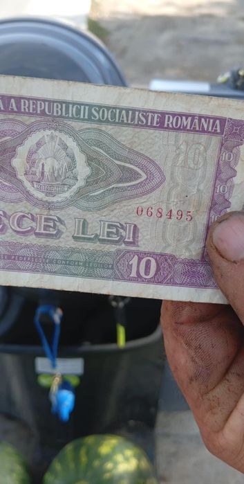 vvând bancnote de 2000 de lei și 10.000 mi de lei