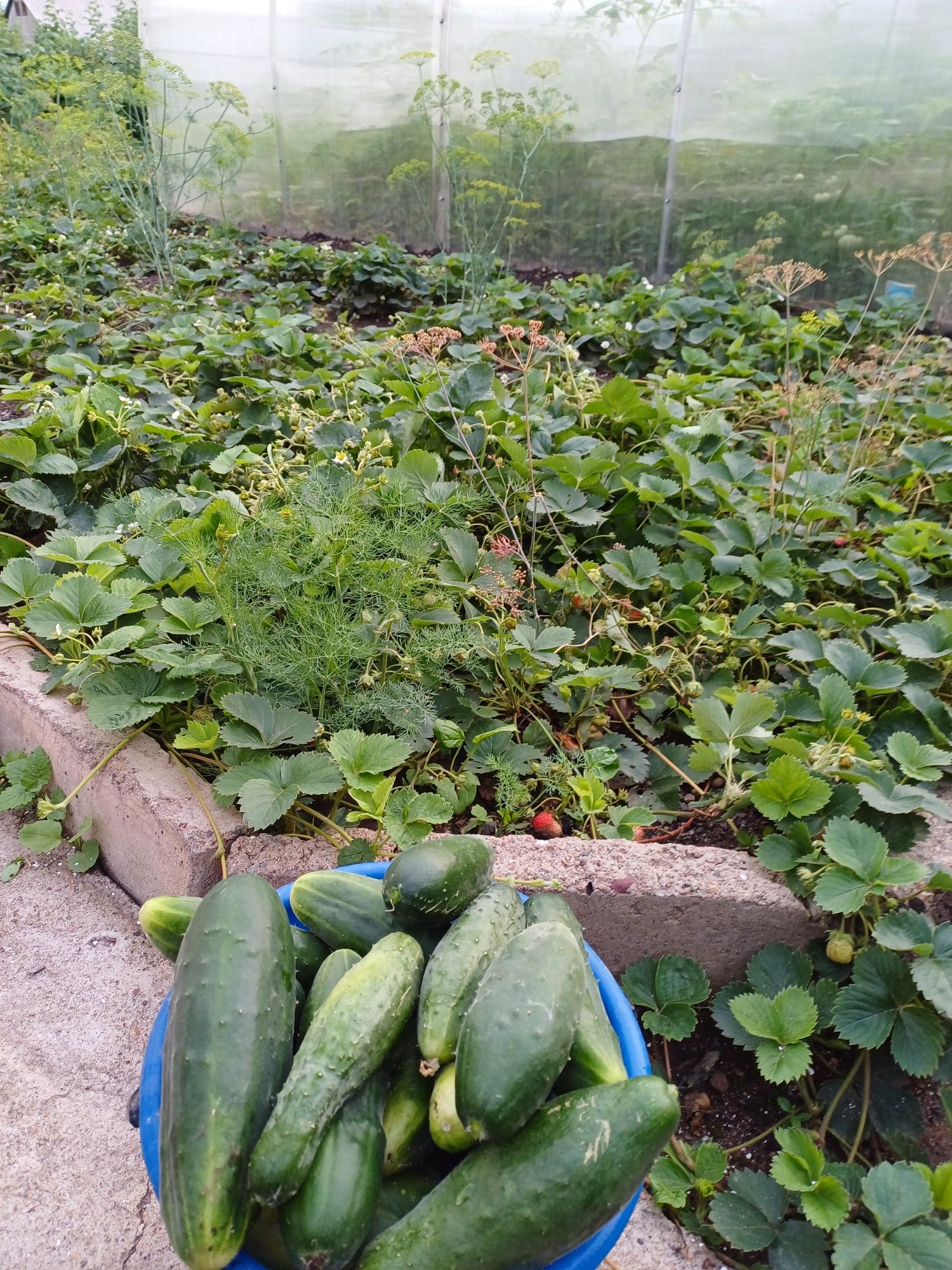 Продам благоустроеный дом