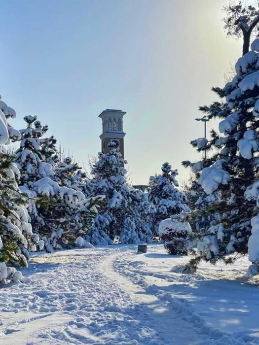 Белое Безмолвие: Зимнее Уединение в Ташкенте в сопровождении проф гида