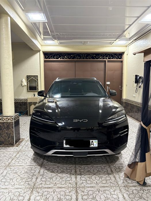 BYD CHAMPION Restaling 24/25