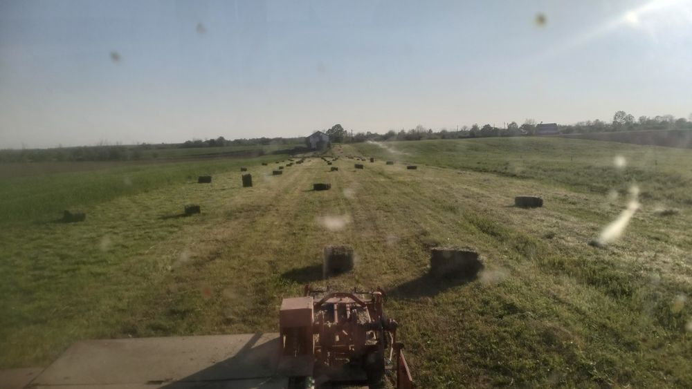 Vând baloți, dreptunghiulari 100x50x40cm, lucernă, fân, ovăz, 7 plante