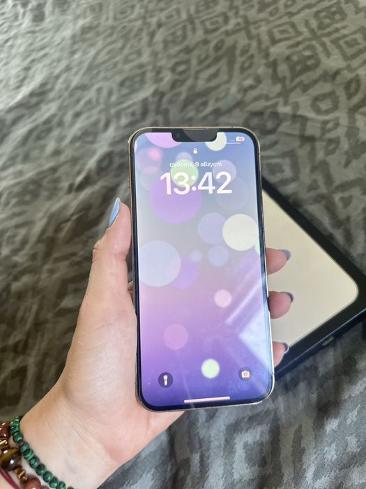 iPhone 13 Pro Max