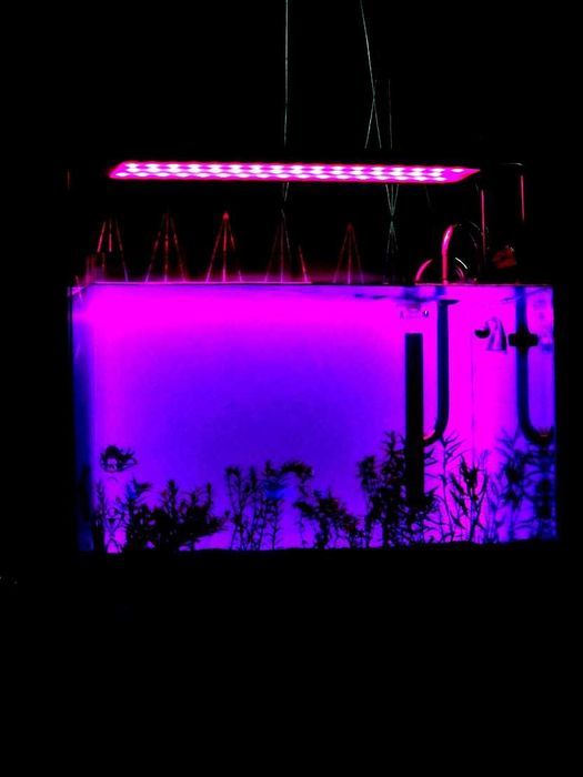 Acvariu 70L utilat, filtru, lampa Chihiros