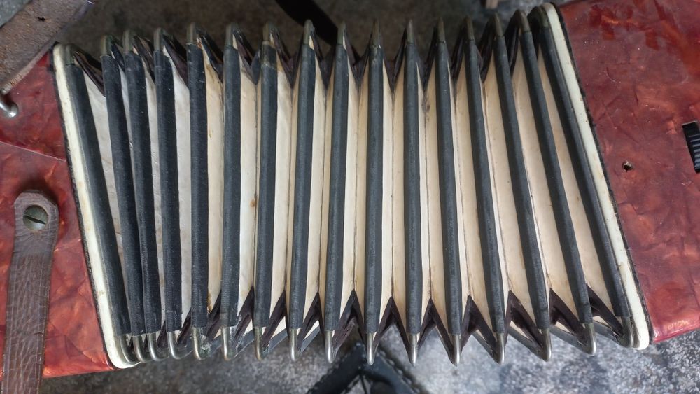 Acordeon romanesc Timis