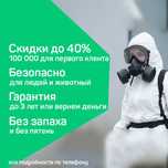 Уничтожение клопов дезинфекция клапа комар мух блох Dezinfeksiya