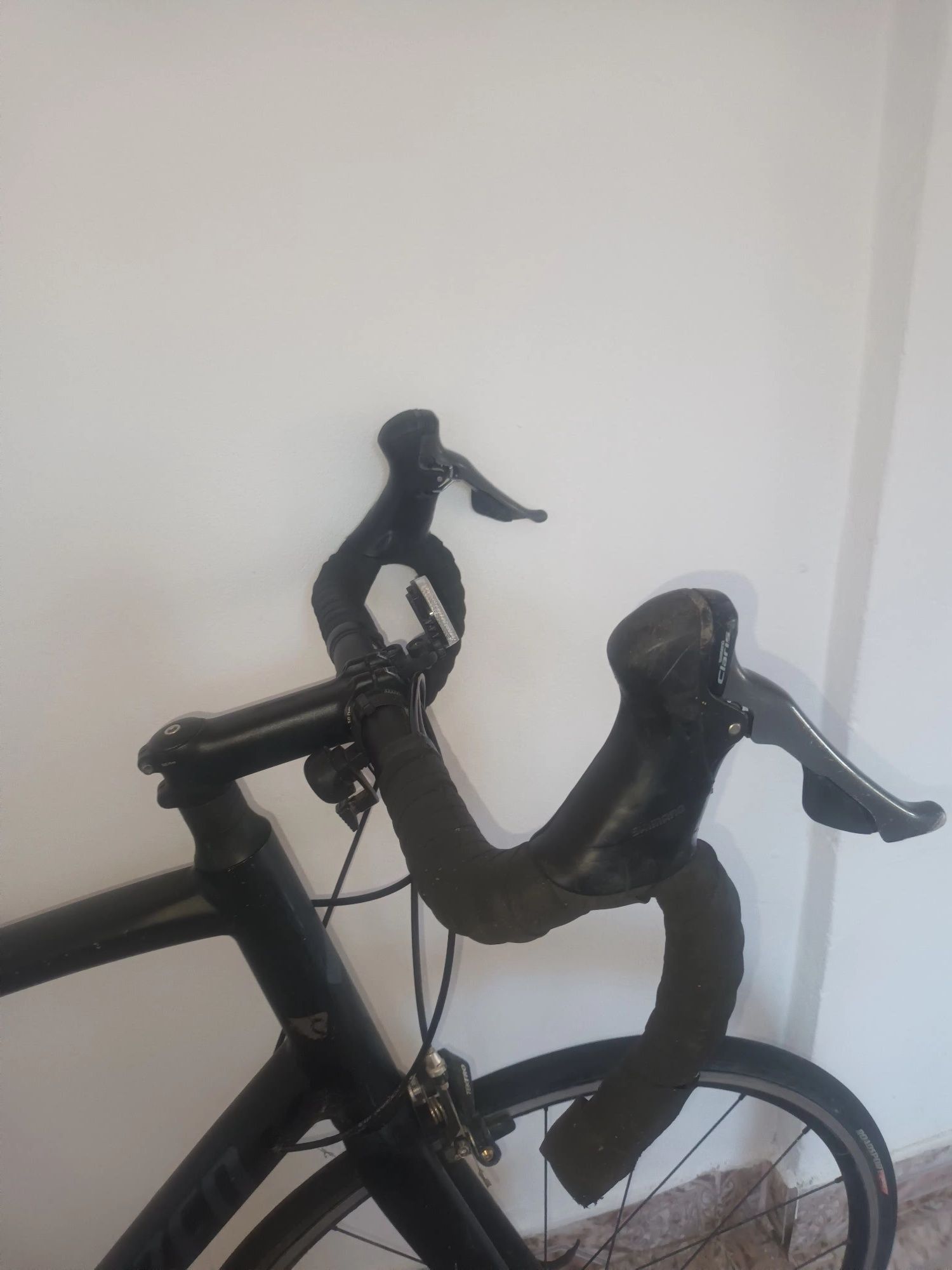 Bicicleta Profesionala