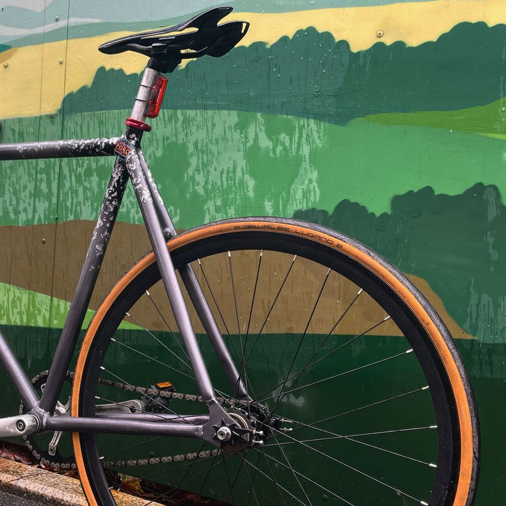 Fixie Custom schimb cursiera