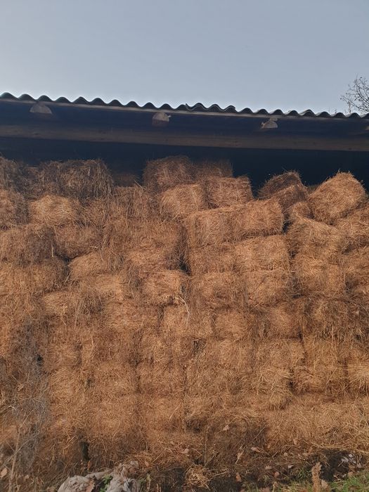 Dau baloti  coasa a doua și a 3