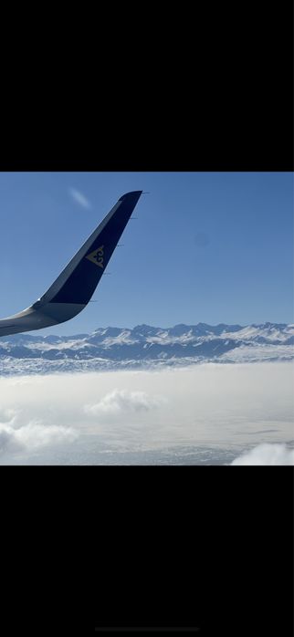 Продам ТОО Финансово устойчивая на 270 мил. тендер. Гос.закуп - Алматы